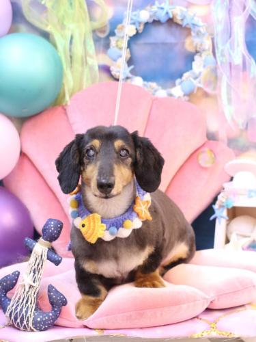 20240809イヴくん